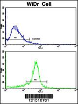 Rabbit Anti Tph Polyclonal Antibody N Term Absin