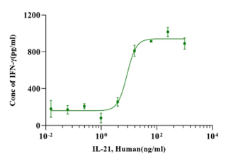 Recombinant Human IL-21 Protein(N-Met)