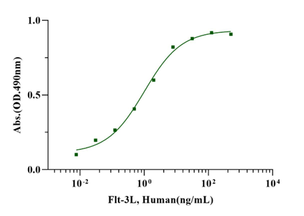 Recombinant Human FLT-3L Protein