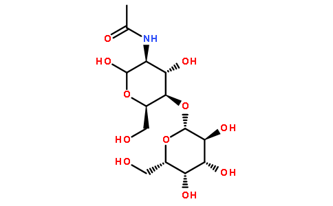 N-乙酰-D-乳糖胺