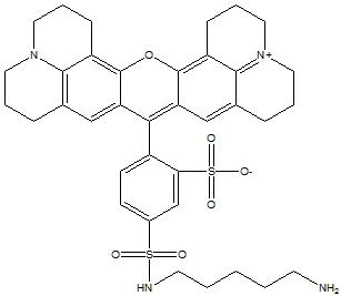 Sulforhodamine 101 cadaverine