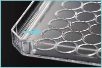 细胞培养板（标准透明24孔板）