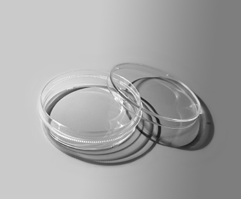 细胞培养皿（35mm）
