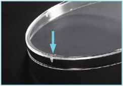 细胞培养皿（150mm）