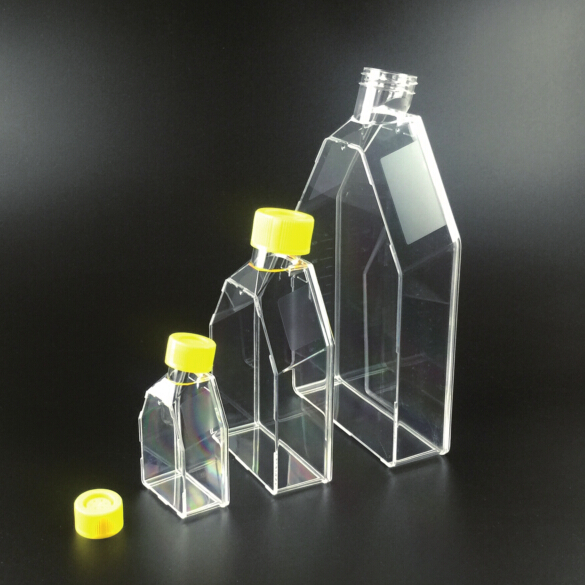 175cm²细胞培养瓶（600mL，透气盖）