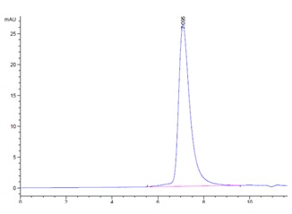 Recombinant Human LILRB2 Protein(C-His-Avi)