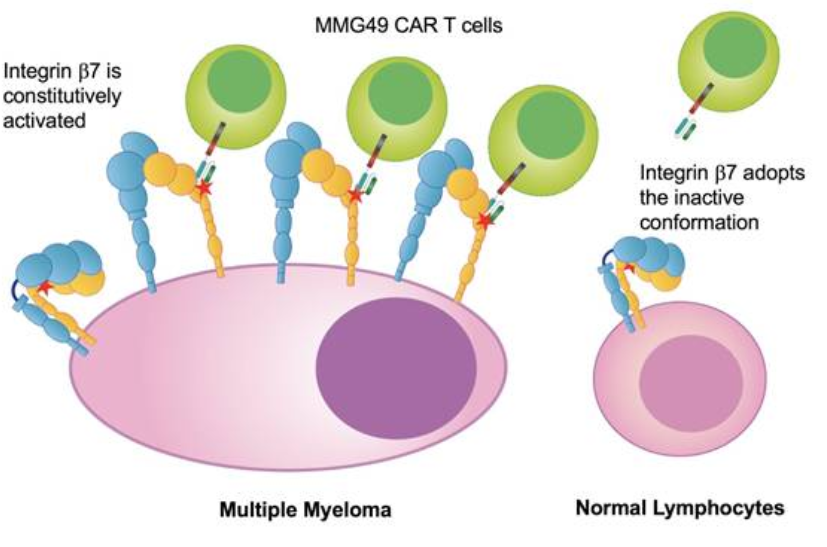 小分子化合物——integrin 信号通路-爱必信(absin)官网