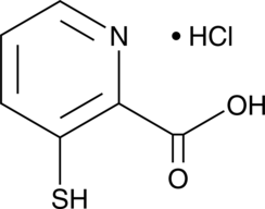 3-巯基吡啶甲酸 盐酸盐