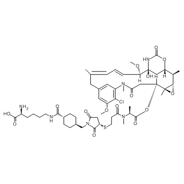 Lys-SMCC-DM1