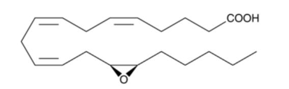 (±)14(15)-EET