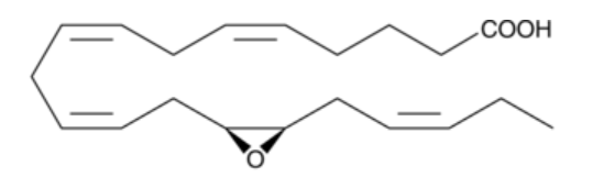 (±)14(15)-EpETE