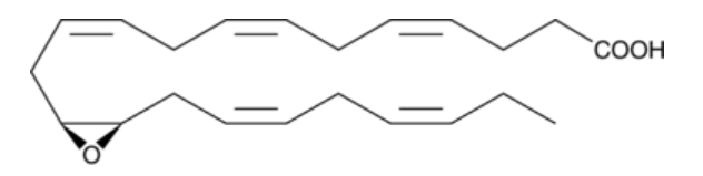 (±)13(14)-EpDPA