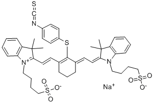 NIR797-异硫氰酸酯