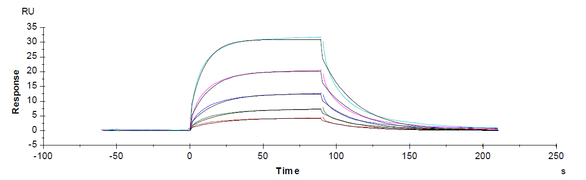 Recombinant Human PD-L1 Protein(C-6His)