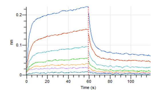 Recombinant Human PD-L1 Fc Chimera Protein(C-Fc)