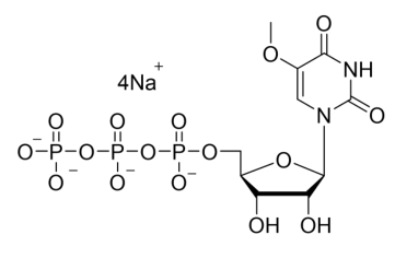 5-甲氧基-UTP钠盐溶液