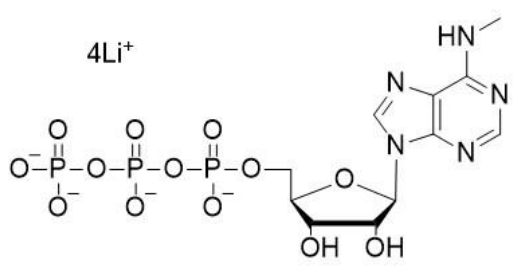 N6-甲基-ATP锂盐溶液