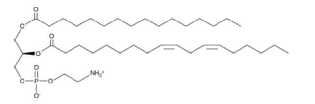 1-Palmitoyl-2-linoleoyl PE