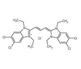 JC-1氯化物