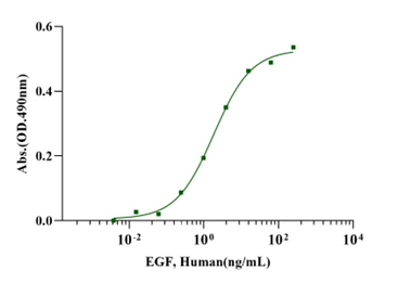 Recombinant Human EGF Protein(N-Met)