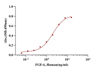 Recombinant Human FGF-6 Protein(C-6His)