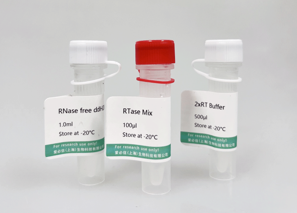 miRNA茎环法逆转录试剂盒