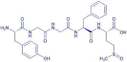 (Met(o)5)-enkephalin