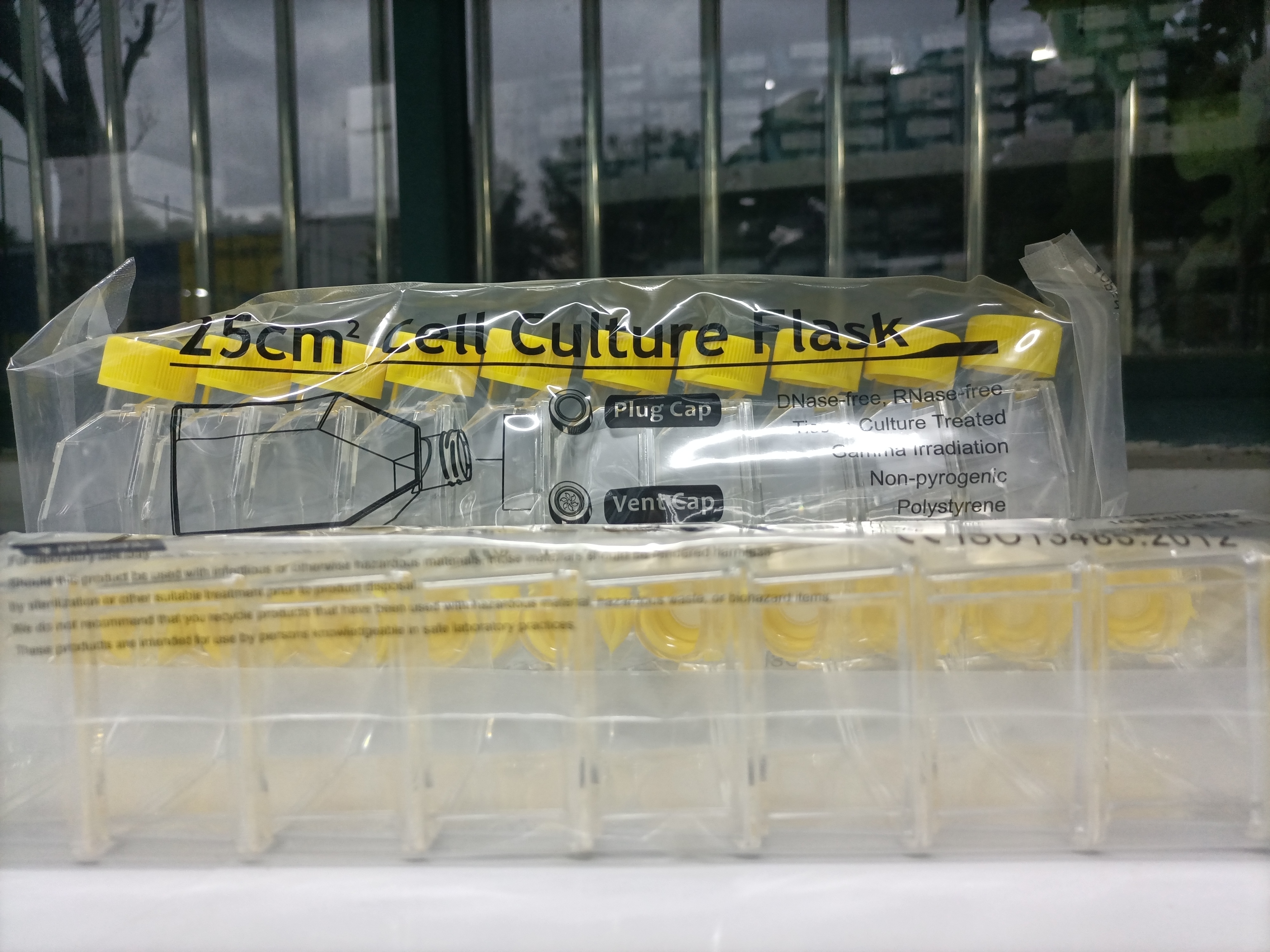 25cm²细胞培养瓶（50mL，透气盖）