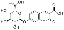 3-羧基香豆素-β-D-吡喃葡萄糖醛酸
