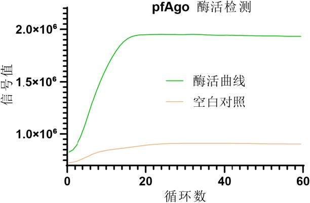 PfAgo 核酸内切酶