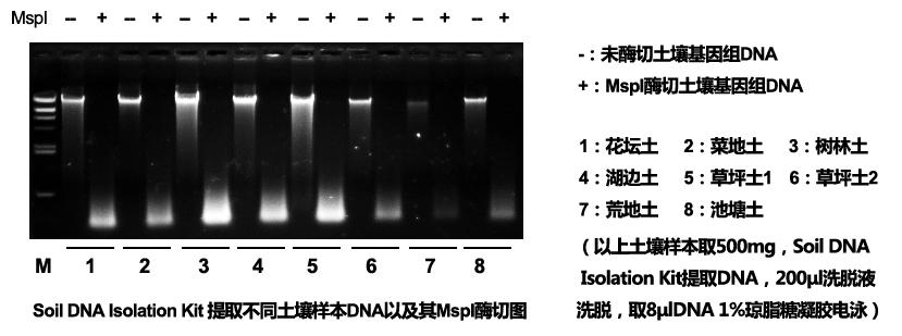 土壤基因组DNA提取试剂盒