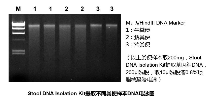 粪便基因组DNA提取试剂盒