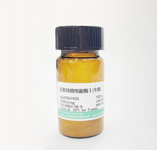 脱氧核糖核酸酶Ⅰ(牛胰)
