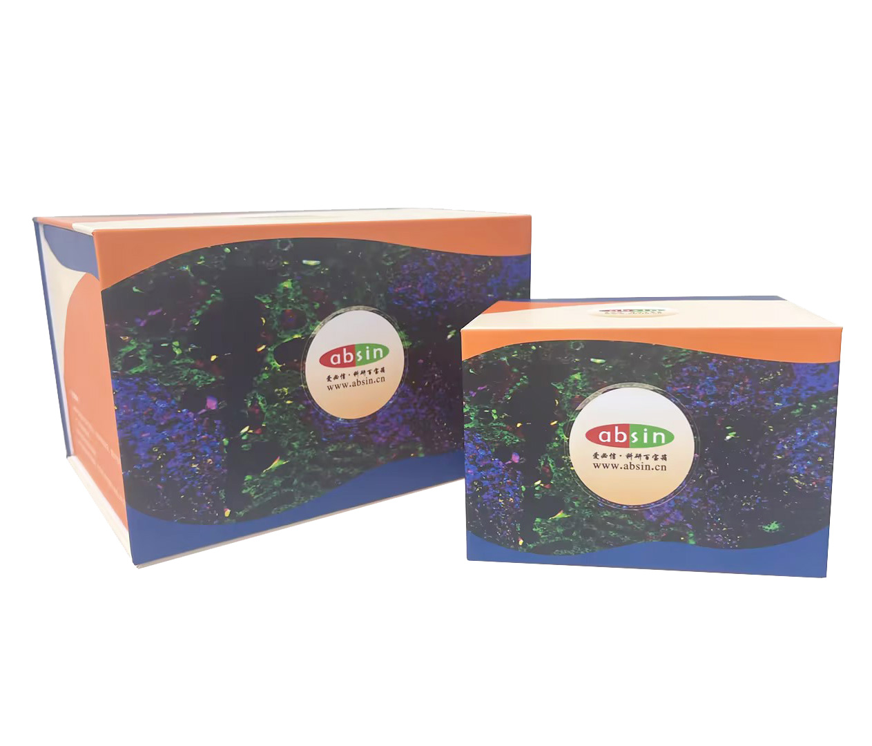 五色多重荧光免疫组化染色试剂盒（鼠兔通用二抗）