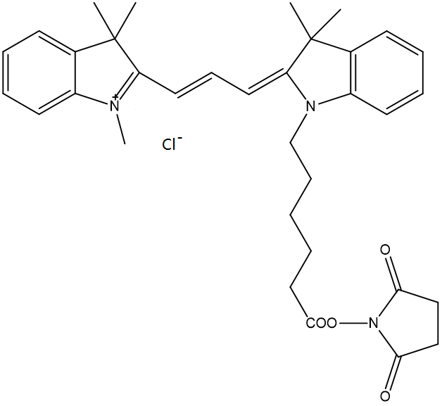 Cyanine3 NHS ester