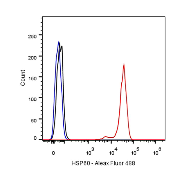 Rabbit anti-HSP60 Monoclonal Antibody(076-6)