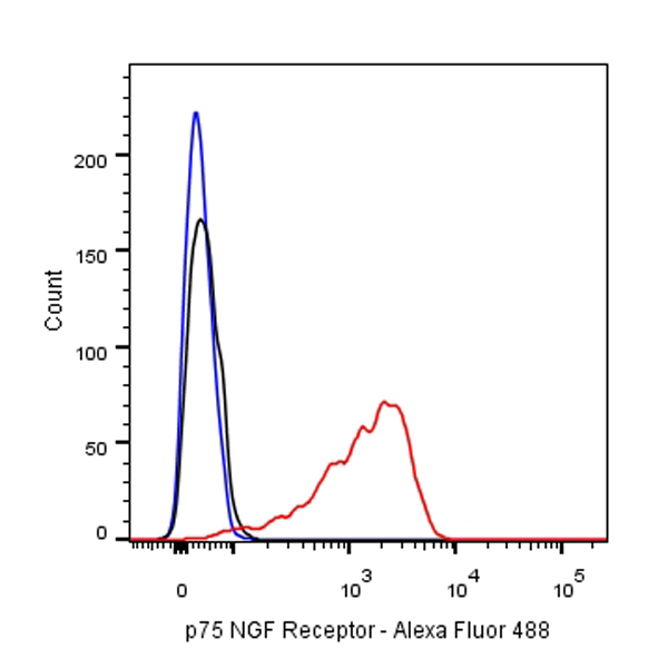 Rabbit anti-p75 NGF Receptor Recombinant Monoclonal Antibody(055-42)