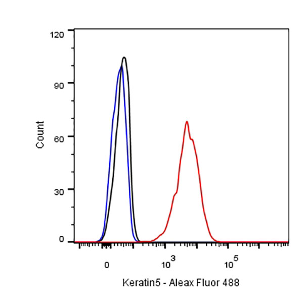 Rabbit anti-Keratin 5 Monoclonal Antibody(014-67)