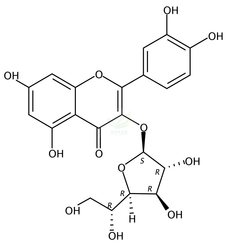 槲皮素-3‘-O-葡萄糖苷