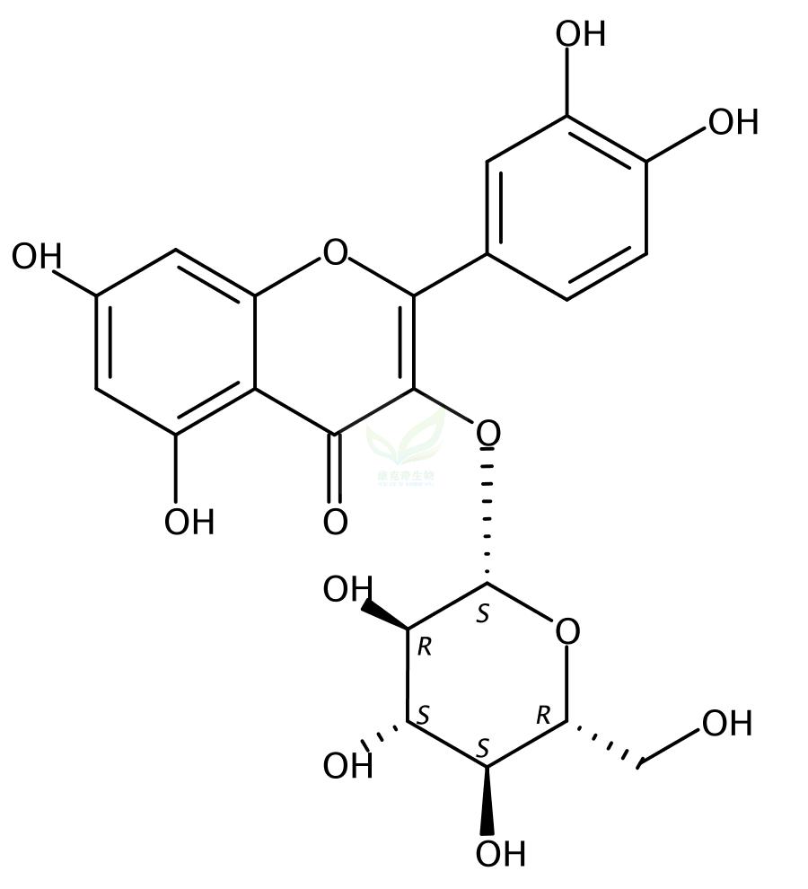 异槲皮苷