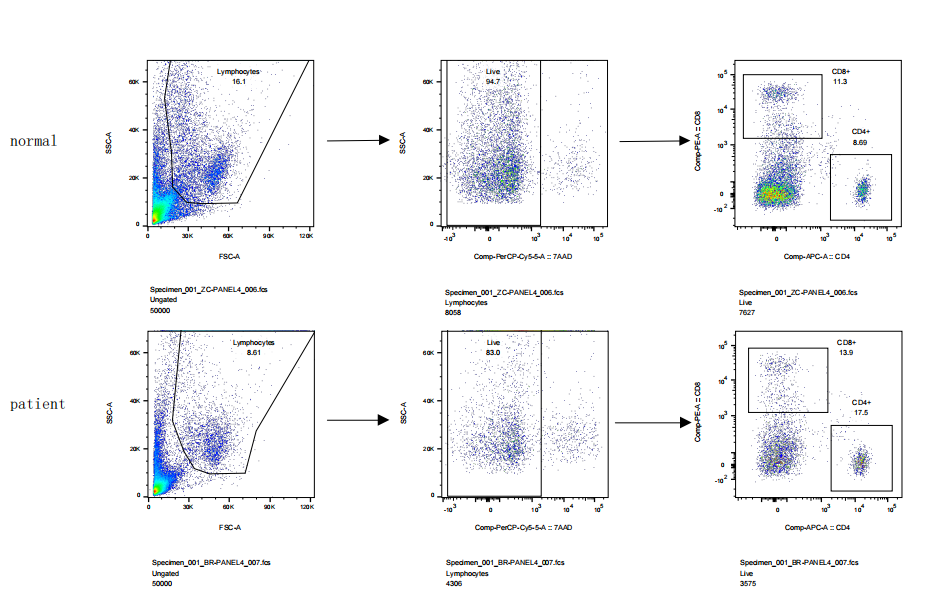 PE Mouse anti-Human CD8a Antibody(HIT8a)