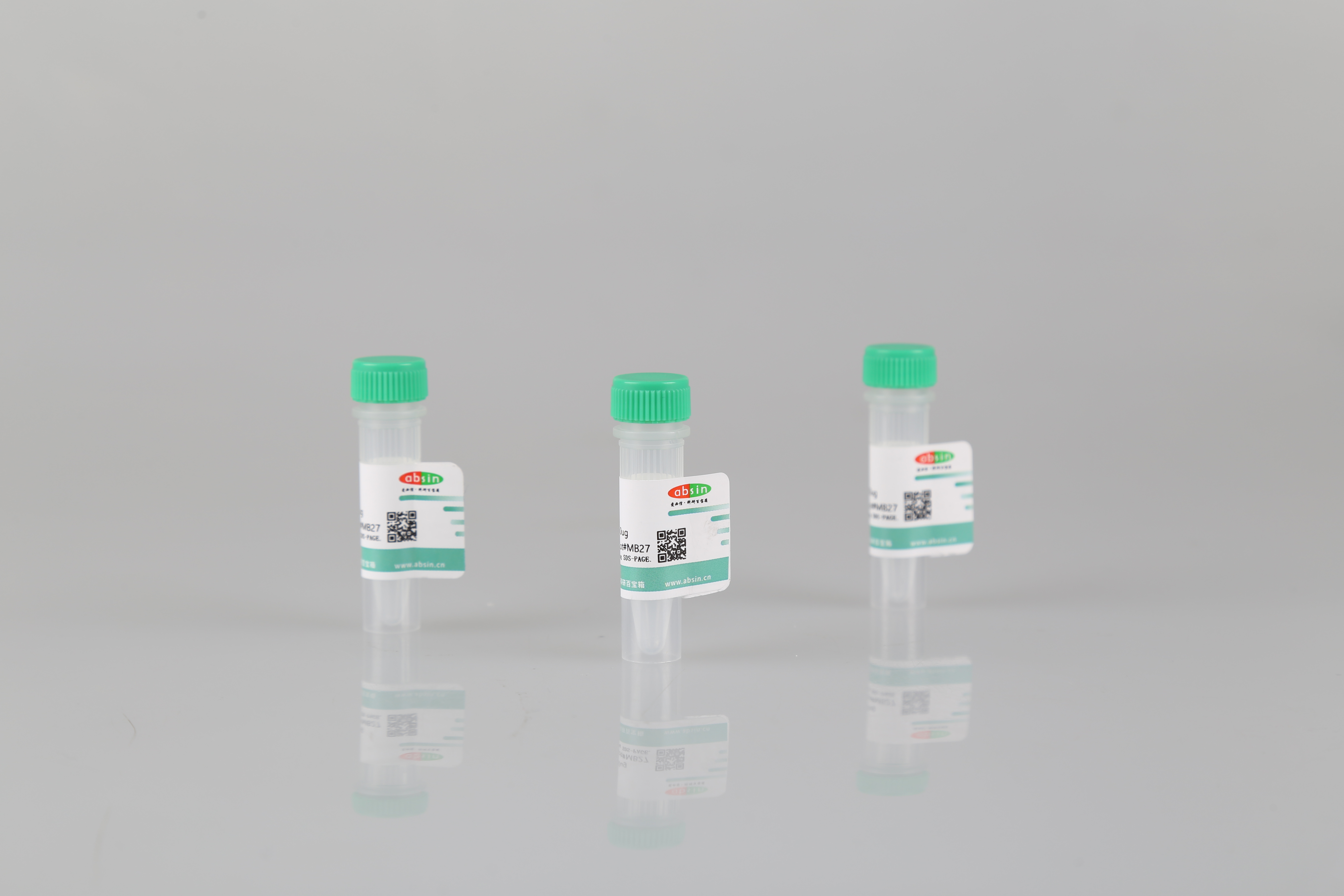 Recombinant SARS-CoV-2 S Protein RBD Protein(C-6His)