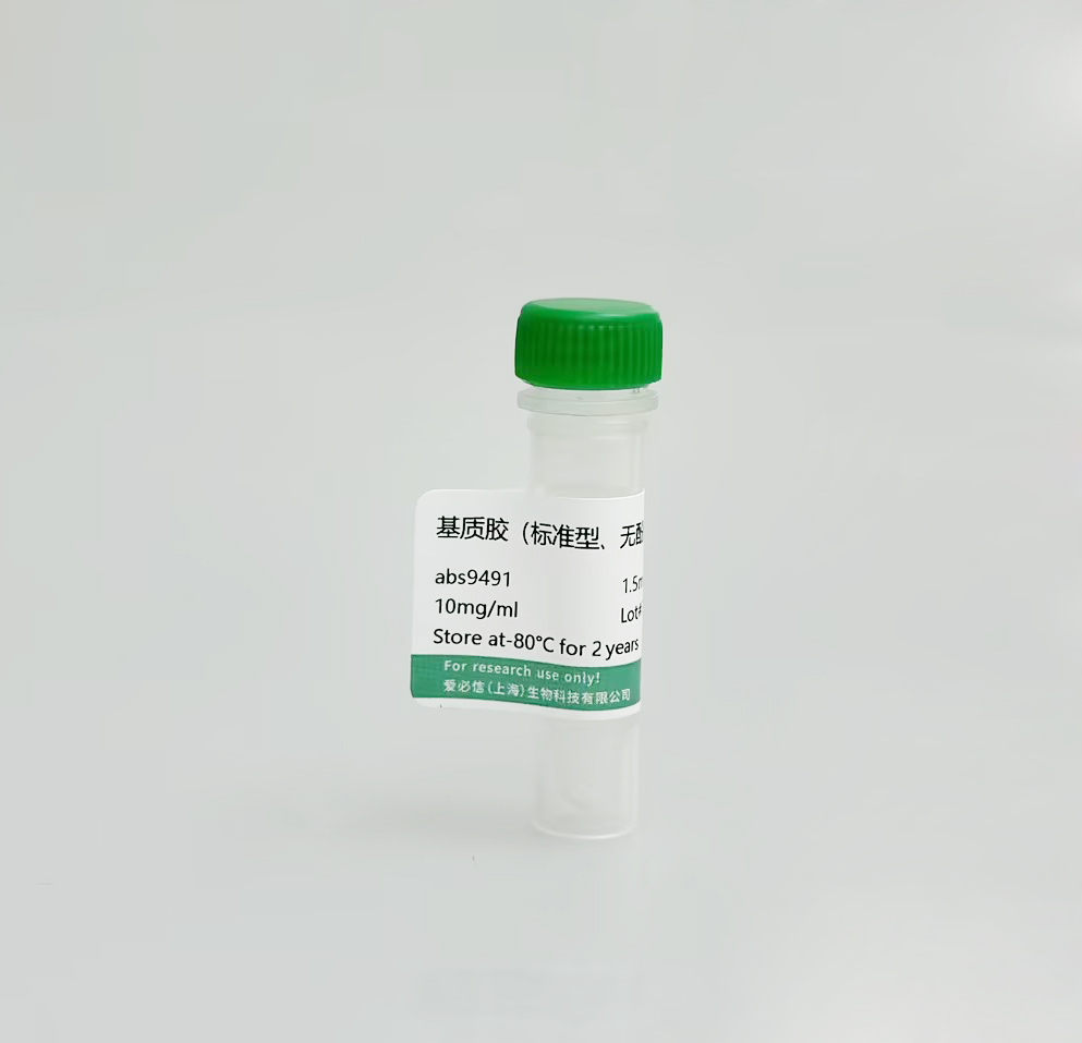 基质胶（标准型，无酚红）