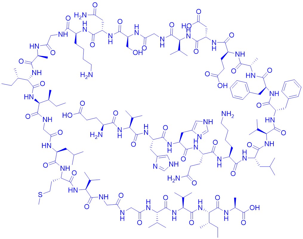 Amyloid β-Protein (11-42)