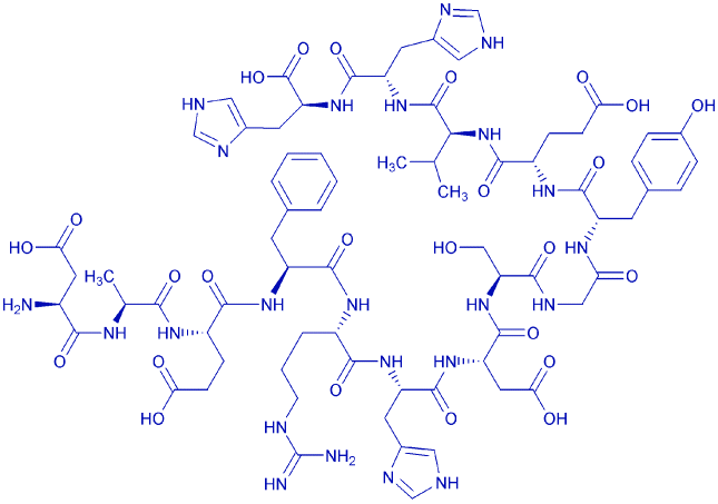 Amyloid β-Protein (1-14)