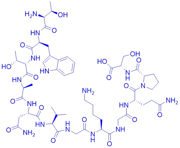 Thrombin B-Chain (147-158) (human)