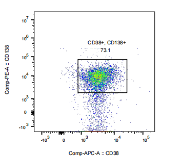 PE Rabbit anti-Human CD138 Antibody(1G8)