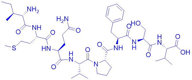 (Des-Asp187,Met186)-Melanocyte Protein PMEL 17 (185-193) (human, bovine, mouse)