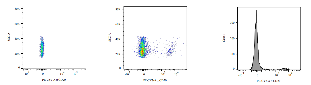 PE-Cy7 Mouse anti-Human CD20 Antibody(B-Ly1)