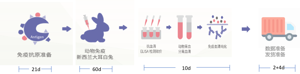 抗體定制，好禮享不停！！